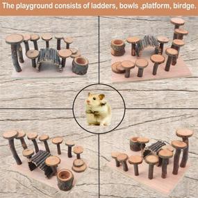 img 2 attached to 🐹 Premium Hamster Playground Wooden Set – Enhance your small animal's happiness with a variety of activity toys including a climbing ladder, bendy bridge, and more!