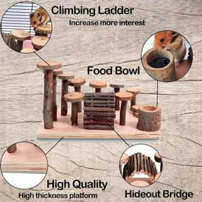 img 3 attached to 🐹 Premium Hamster Playground Wooden Set – Enhance your small animal's happiness with a variety of activity toys including a climbing ladder, bendy bridge, and more!