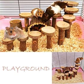 img 1 attached to 🐹 Premium Hamster Playground Wooden Set – Enhance your small animal's happiness with a variety of activity toys including a climbing ladder, bendy bridge, and more!