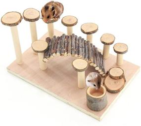 img 4 attached to 🐹 Premium Hamster Playground Wooden Set – Enhance your small animal's happiness with a variety of activity toys including a climbing ladder, bendy bridge, and more!