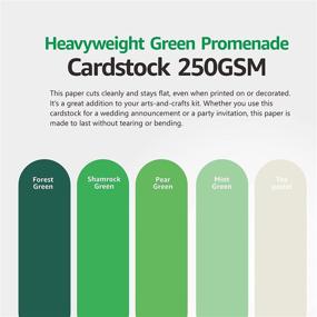 img 2 attached to 📐 Premium Heavyweight Green Cardstock - 50 Sheets, 8.5" x 11" - Thick 92lb Cover Paper for Crafts, DIY Cards, and Projects