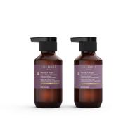 🛫 theorie marula and argan oil travel set - smoothing shampoo & conditioner minis - sulfate free - perfect for frizzy and unruly hair - color and keratin hair protection - 90ml pump bottles logo