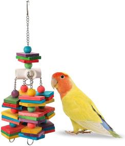 img 3 attached to 🦜 Yesland Large Parrot Chew Toy for Bird - Colorful Wood Parrot Cage Bite Toy and Bird Chewing Toy for African Grey Cockatoos, Lovebirds, and Parrot