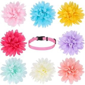 img 4 attached to Valentine's Day Pet Charms Flower Slides Attachment Decoration - 8 Pack Dog Collar Flowers Accessory with Basic Pink Collar for Dogs & Cats