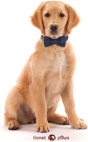 img 1 attached to 🦁 Lionet Paws Dog and Cat Collar with Bowtie: Soft, Comfortable, and Adjustable - Perfect Gift for Boy or Girl Pets of All Sizes