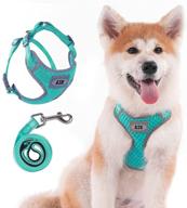 🐾 air dog harness leash set: comfortable no-choke mesh harness + reflective 4 ft leash - medium, green logo