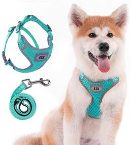 img 4 attached to 🐾 AIR Dog Harness Leash Set: Comfortable No-Choke Mesh Harness + Reflective 4 ft Leash - Medium, Green