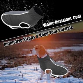 img 1 attached to 🐕 AOFITEE Reflective Waterproof Winter Dog Coat: Windproof, Warm Fleece Lined Jacket for Small, Medium & Large Dogs - Lightweight Pet Sport Vest, Ideal Outdoor Apparel