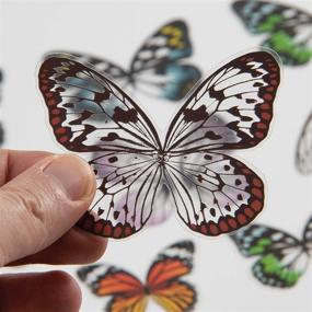 img 2 attached to 🦋 Tim Holtz Advantus Transparent Wings, White - Pack of 72