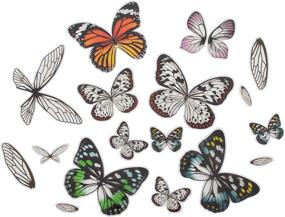 img 1 attached to 🦋 Tim Holtz Advantus Transparent Wings, White - Pack of 72