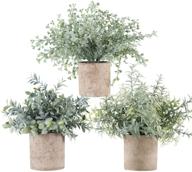 🌿 enhance your space with 3 pack mini potted fake plants - artificial plastic eucalyptus plants for stylish home office desk room decoration - der rose logo