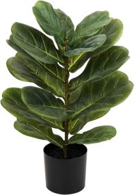 img 4 attached to 🌿 22-Inch Artificial Fiddle Leaf Fig Tree - Lifelike Greenery Floor Plant in Pot - Faux Ficus Lyrata - Tall Artificial Plant for Indoor and Outdoor Decoration in House, Home, and Office