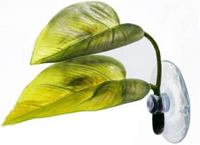 img 1 attached to 🐠 Enhance Betta Fish Habitat with a 3 Pack Betta Fish Hammock Plant Leaf Pad: Ideal for Spawning, Breeding, and Resting