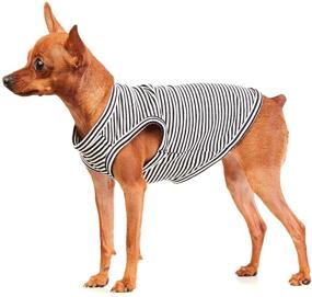 img 1 attached to Striped Cotton Shirt for Dogs - Breathable and Soft Basic Clothes for Small, Medium, and Large Boy and Girl Pets