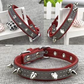 img 3 attached to 🐾 Newtensina Studded Dog Collar: Reflective Puppy Collar for Small Dogs - Style and Safety Combined
