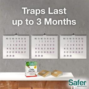 img 1 attached to 👕 Safer Brand 07270 Clothes Moth Alert Trap: Protect Your Wardrobe from Moth Infestations