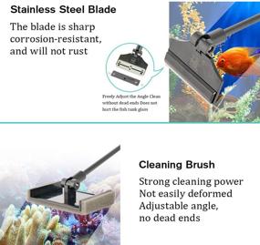 img 1 attached to ZRDR Stainless Steel Algae Scraper Aquarium Cleaning Tool – Glass Aquariums: Algae Scraper, Sponge Pad, Fish Net, Cleaning Brush, Adjustable Length – Durable & Fish Tank Friendly