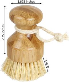 img 3 attached to 🌱 Sustainable Bamboo Naturals Kitchen Tool: Plastic-Free Coconut Fiber Palm Brush for Eco-friendly Home Cleaning