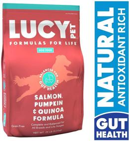 img 4 attached to Lucy Pet Formulas Salmon Pumpkin Dogs