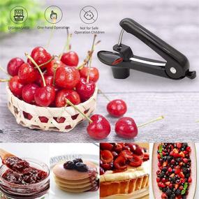 img 3 attached to 🍒 Kurchugo Cherry Pitter: Multi-Function Tool for Easy Cherry Pit Removal and Delicious Cherry Recipes