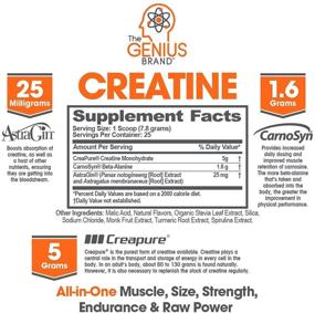 img 3 attached to 💪 Enhance Your Workout Results with Genius Creatine Powder - Premium Post-Workout Supplement for Men and Women, Featuring Creapure Monohydrate and Carnosyn Beta-Alanine SR, Sour Apple Flavor, 195G