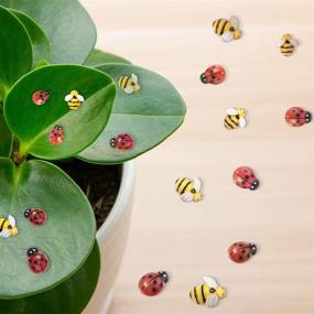img 1 attached to Ladybugs Including Embellishments Decorations Decoration