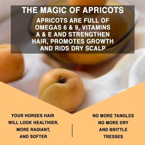 img 1 attached to Knotty Horse Apricot Brightening Conditioning