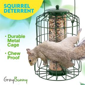 img 2 attached to 🐿️ Squirrel Resistant Bird Feeders: Gray Bunny Premium Grade Steel Caged Tube WildBird Feeder for Hanging Outside - Chew-Proof, Weather & Water Resistant with 4 Perches