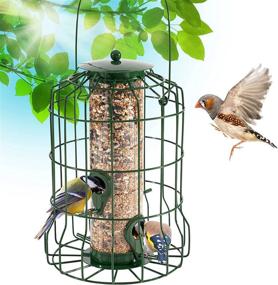 img 4 attached to 🐿️ Squirrel Resistant Bird Feeders: Gray Bunny Premium Grade Steel Caged Tube WildBird Feeder for Hanging Outside - Chew-Proof, Weather & Water Resistant with 4 Perches