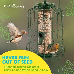 img 1 attached to 🐿️ Squirrel Resistant Bird Feeders: Gray Bunny Premium Grade Steel Caged Tube WildBird Feeder for Hanging Outside - Chew-Proof, Weather & Water Resistant with 4 Perches