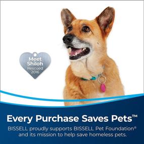 img 3 attached to 🐾 BISSELL PowerGlide Pet Slim Corded Vacuum, 3070: A Powerful Solution for Pet Hair and Debris Removal