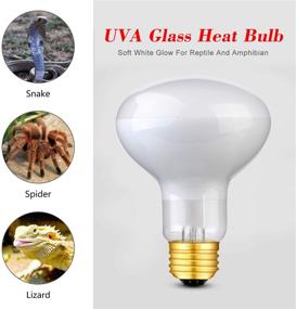 img 1 attached to Premium 100W Sun Glow Basking Spot Lamp: UVA Glass Reptile Heat Bulbs with Soft White Light - 2 Pack