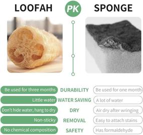 img 3 attached to 3-Pack Azproduct Large Diameter Biodegradable Loofah Kitchen Sponge: Eco-Friendly Scrub Luffa Sponge for Efficient Cleaning & Dishwashing