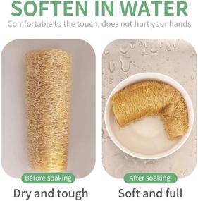 img 1 attached to 3-Pack Azproduct Large Diameter Biodegradable Loofah Kitchen Sponge: Eco-Friendly Scrub Luffa Sponge for Efficient Cleaning & Dishwashing