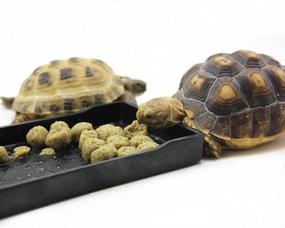 img 2 attached to OMEM Reptile Bowl: Large Food and Water Dish, Ideal for Bathing too!