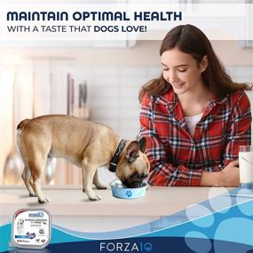 img 3 attached to Forza10 Hypoallergenic Wet Dog Food - Fish Flavor | 32 Pack Case of 3.5 Ounce Cans | Sensitive Skin Formula for Adult Dogs with Skin Issues