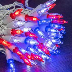 img 3 attached to 200 LED Funpeny Outdoor Independence Day Lights - 66 FT Mini String Light, Waterproof Tree Lights for Outdoor Party Patriotic Memorial 4th of July Wedding Decoration (Red, Blue, White)