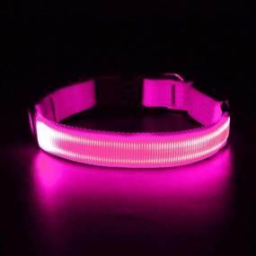 img 3 attached to Flashseen Rechargeable Glowing Webbing Perfect Dogs