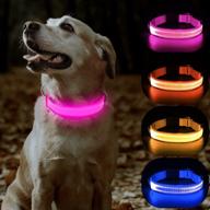 flashseen rechargeable glowing webbing perfect dogs logo