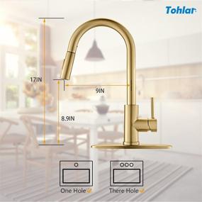 img 1 attached to Tohlar Gold Kitchen Faucets with Pull-Down Sprayer - Modern Stainless Steel Single Handle Pull Down Kitchen Sink Faucet + Deck Plate