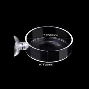 img 3 attached to Dannisly Aquarium Glass Feeder: Premium Shrimp Feeding Dish for Clear Fish Tank - Preventing Food Spills with Suction Cup, 60mm