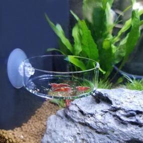 img 1 attached to Dannisly Aquarium Glass Feeder: Premium Shrimp Feeding Dish for Clear Fish Tank - Preventing Food Spills with Suction Cup, 60mm