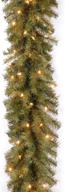 🎄 national tree company pre-lit artificial christmas garland: norwood fir in green with white lights - plug in, 9 feet logo