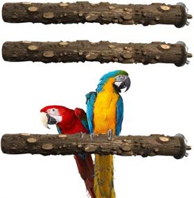 img 4 attached to 🐦 PINVNBY Bird Perch: Natural Wood Prickly Parrot Stand Toy Kit - Paw Grinding Stick for Small-Medium Birds Cockatiel Parakeet Conure Cage - Set of 3 Accessories