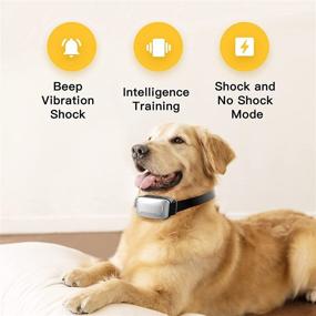 img 2 attached to ModoPet 2021 Upgraded Rechargeable Bark Collar for Small Medium Large Dogs - LED Barking Collar with Beep Vibration Shock Modes