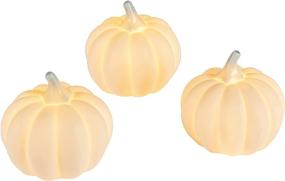 img 1 attached to White Ceramic Pumpkin LED Fall Thanksgiving Lighted Decorations – Set of 3, Battery Operated by Lights4fun, Inc.