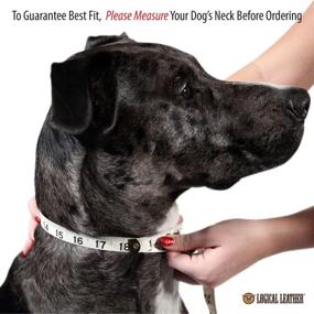 img 3 attached to 🐶 Top-Rated Full Grain Genuine Leather Padded Dog Collar - Reliable Heavy Duty Collars by Logical Leather