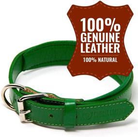 img 1 attached to 🐶 Top-Rated Full Grain Genuine Leather Padded Dog Collar - Reliable Heavy Duty Collars by Logical Leather