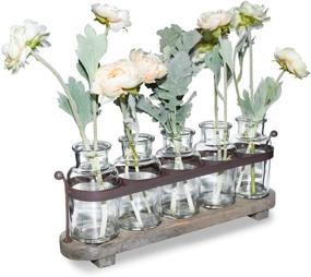 img 4 attached to 🌺 Funsoba Rustic 5 Glass Bottles Bud Vase Set with Wood Metal Tray - Потрясающая декорация для стола (тип А)