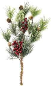 img 2 attached to 🌲 Pine Stem Berry and Pinecone Bundle - Pack of 6